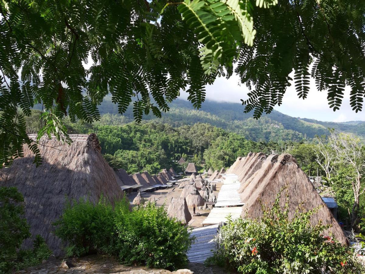 Hotel Manulalu Jungle Bajawa Zewnętrze zdjęcie